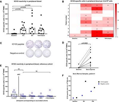 Peptide Vaccination Against PD-L1 With IO103 a Novel Immune Modulatory Vaccine in Multiple Myeloma: A Phase I First-in-Human Trial